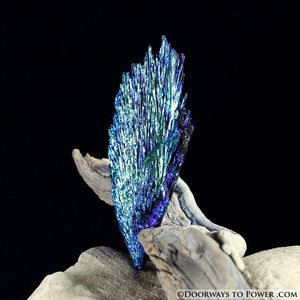 Rare Aqua Aura Black Kyanite Crystal Angel Wing