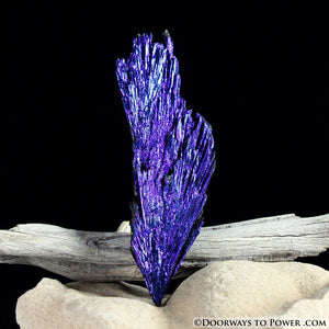 Powerful Aqua Aura Black Kyanite Crystal A +++