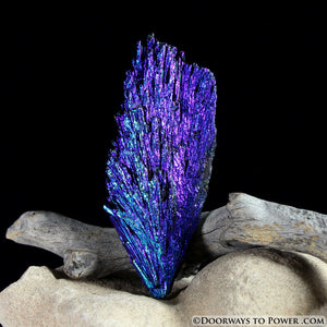 Black Kyanite Peacock Aura Crystal A +++