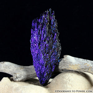Black Kyanite Peacock Aura Crystal A +++