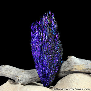 Black Kyanite Peacock Aura Crystal A +++
