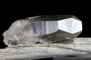 Rare Golden Lemurian Seed Pleiadian Starbrary Record Keeper Crystal