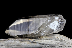 Rare Golden Lemurian Seed Pleiadian Starbrary Record Keeper Crystal