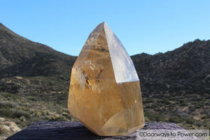 John of God Quartz Citrine Casa Crystal Point