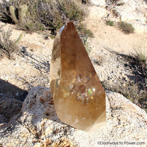 John of God Citrine Abundance Crystal Point