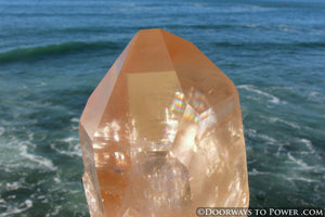 XL Pink Seed Lemurian Crystal Point "Wisdom of Ancient Lemuria" Starbrary RESERVED for MT