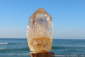 XL Pink Seed Lemurian Crystal Point "Wisdom of Ancient Lemuria" Starbrary RESERVED for MT