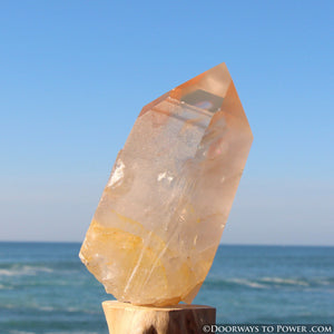 XL Pink Seed Lemurian Crystal Point "Wisdom of Ancient Lemuria" Starbrary RESERVED for MT