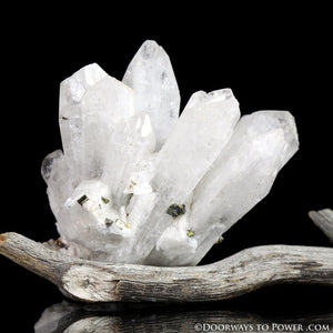 Danburite Synergy 12 Twin Crystal Cluster w/ Pyrite "Higher Octave"
