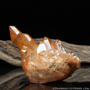 Tangerine Aura Quartz Twin Pleiadian Starbrary Crystal Cluster