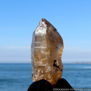 Golden Azeztulite Pleiadian Starbrary Crystal 5.1" RARE A ++++