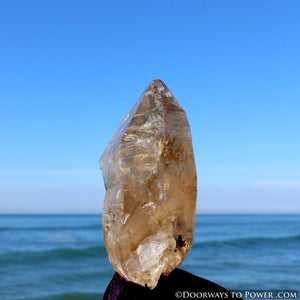 Golden Azeztulite Pleiadian Starbrary Crystal 5.1" RARE A ++++