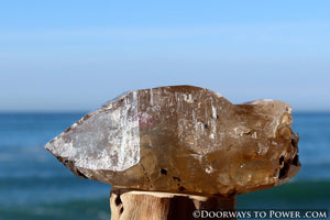 Golden Azeztulite Pleiadian Starbrary Crystal 5.1" RARE A ++++