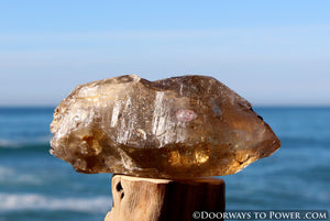 Golden Azeztulite Pleiadian Starbrary Crystal 5.1" RARE A ++++