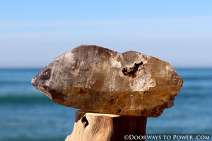 Golden Azeztulite Pleiadian Starbrary Crystal 5.1" RARE A ++++