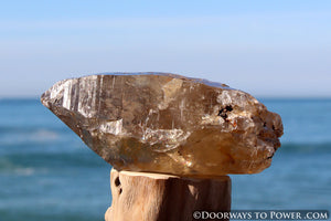 Golden Azeztulite Pleiadian Starbrary Crystal 5.1" RARE A ++++