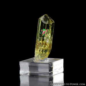 Yellow Golden Apatite Crystal Gemstone Specimen Terminated A +++