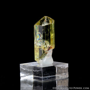 Yellow Golden Apatite Crystal Gemstone Specimen Terminated A +++