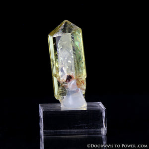 Yellow Golden Apatite Crystal Gemstone Specimen Terminated A +++