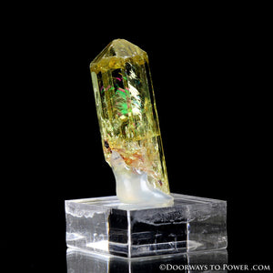 Yellow Golden Apatite Crystal Gemstone Specimen Terminated A +++