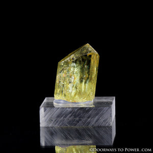 Yellow Golden Apatite Crystal Gemstone Specimen Terminated