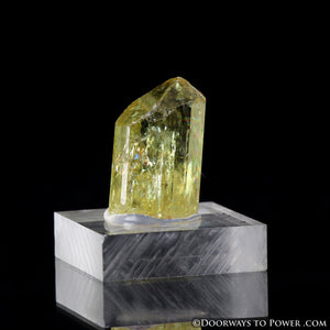 Yellow Golden Apatite Crystal Gemstone Specimen Terminated