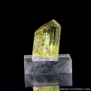 Yellow Golden Apatite Crystal Gemstone Specimen Terminated