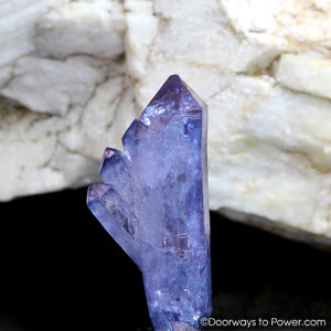 Tanzan Aura Himalayan Quartz Record Keeper Crystal - RARE