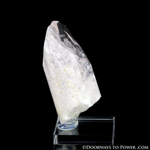 Danburite Pleiadian Starbrary Crystal Specimen A +++