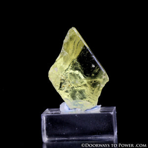 Rare Royal Yellow SANIDINE Specimen Record Keeper Abundance Crystal