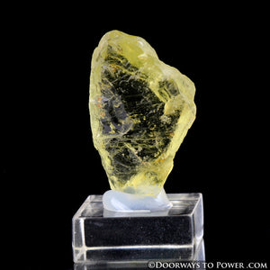 Royal Yellow SANIDINE Record Keeper Abundance Crystal