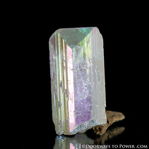Rare Angel Aura Danburite Crystal Amazing A +++