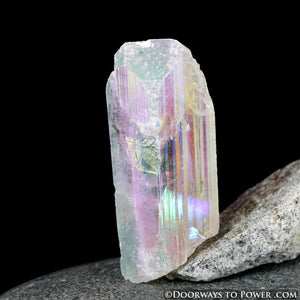 Angel Aura Danburite Pleiadian Starbrary Synergy 12 Crystal A++