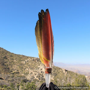 Blue Macaw Smudge Fan w/ Pleiadian Starbrary Record Keeper Crystal 13.5"