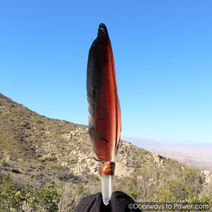 Blue Macaw Smudge Fan & Pleiadian Starbrary Crystal 13.25"