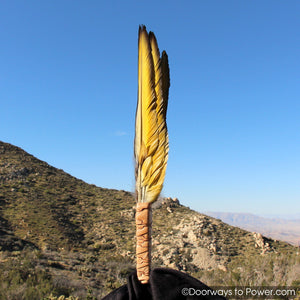 Blue Macaw Energy Smudge Fan John of God Quartz Crystal 15.5"