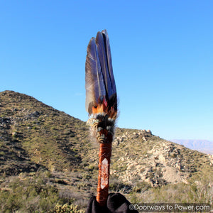Blue Macaw Smudge Fan John of God Casa Healing Crystal 15"