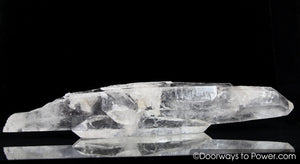 Diamantina Laser Wand - DT Inner Child Pleiadian Starbrary Crystal 'MASTERY'