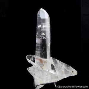 Colombian Lemurian Seed Pleiadian Starbrary Inner Child Crystal