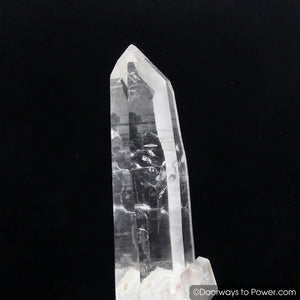 Colombian Lemurian Seed Pleiadian Starbrary Inner Child Crystal