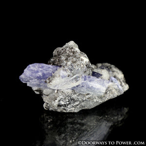Tanzanite Crystal Specimen - Synergy 12 Stone