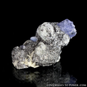 Tanzanite Crystal Specimen - Synergy 12 Stone
