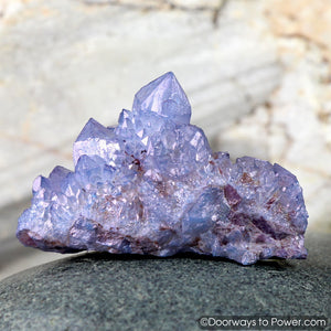 Tanzine Tanzan Aura Cactus Spirit Quartz Record Keeper Cluster