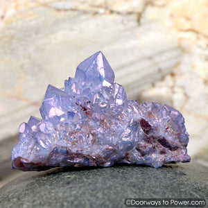 Tanzine Tanzan Aura Cactus Spirit Quartz Record Keeper Cluster