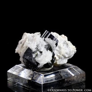 Beautiful Black Tourmaline & Quartz Specimen A+++