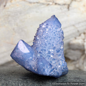 Tanzan Aura Cactus Spirit Quartz Record Keeper Cluster