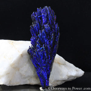 Magical Aqua Aura Black Kyanite Crystal A +++