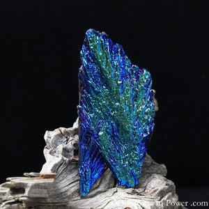 Powerful Black Kyanite Aura Crystal A +++