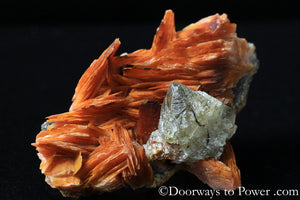 Cerussite & Barite Specimen w/ Galena