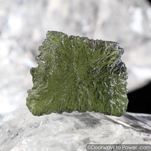 Moldavite Tektite Synergy 12 Stone "The Grail Stone"